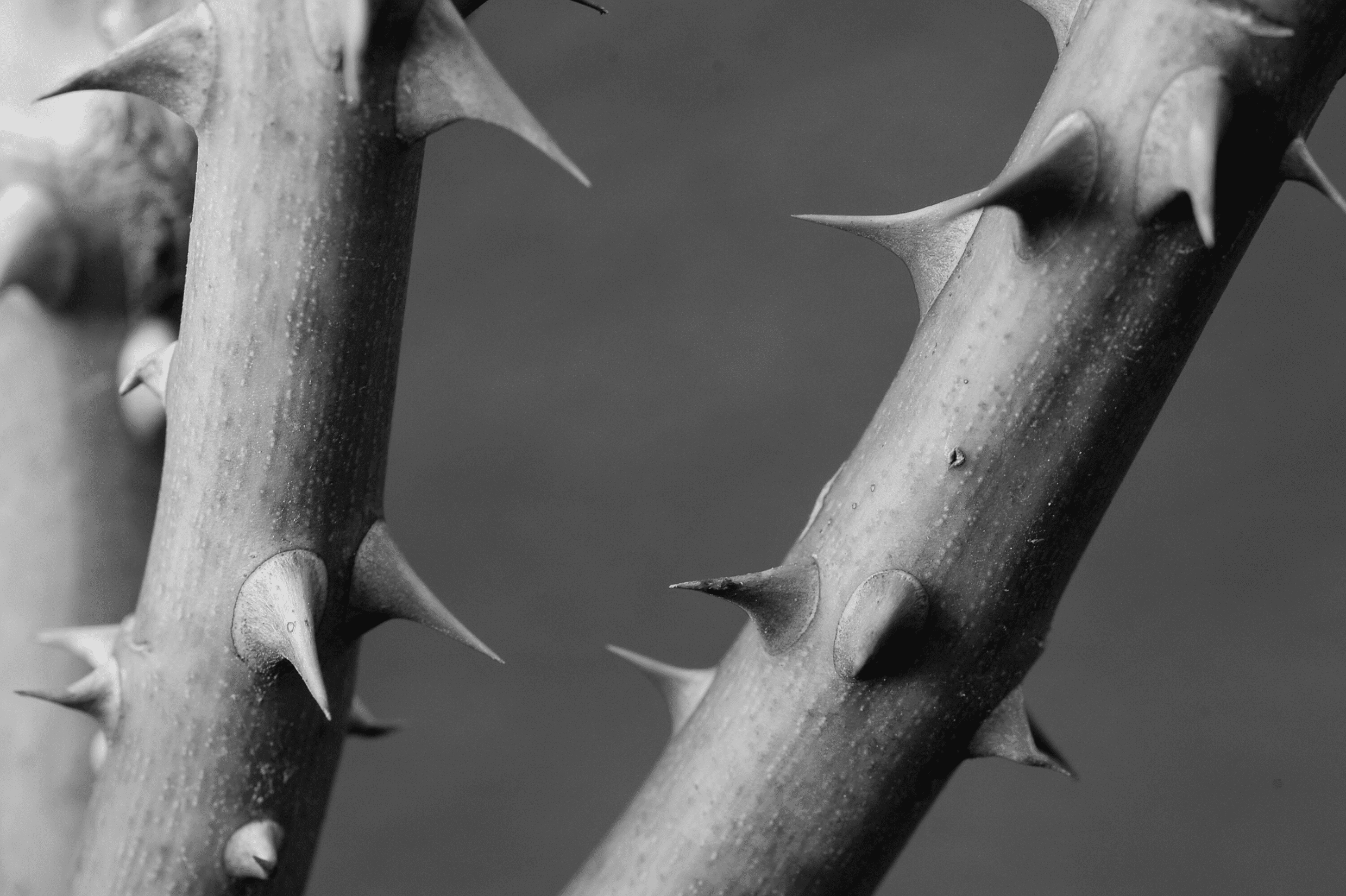Spare parts: a thorny issue: IP monopolies v competition freedom